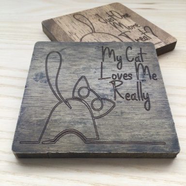 Your Cat Loves You Really